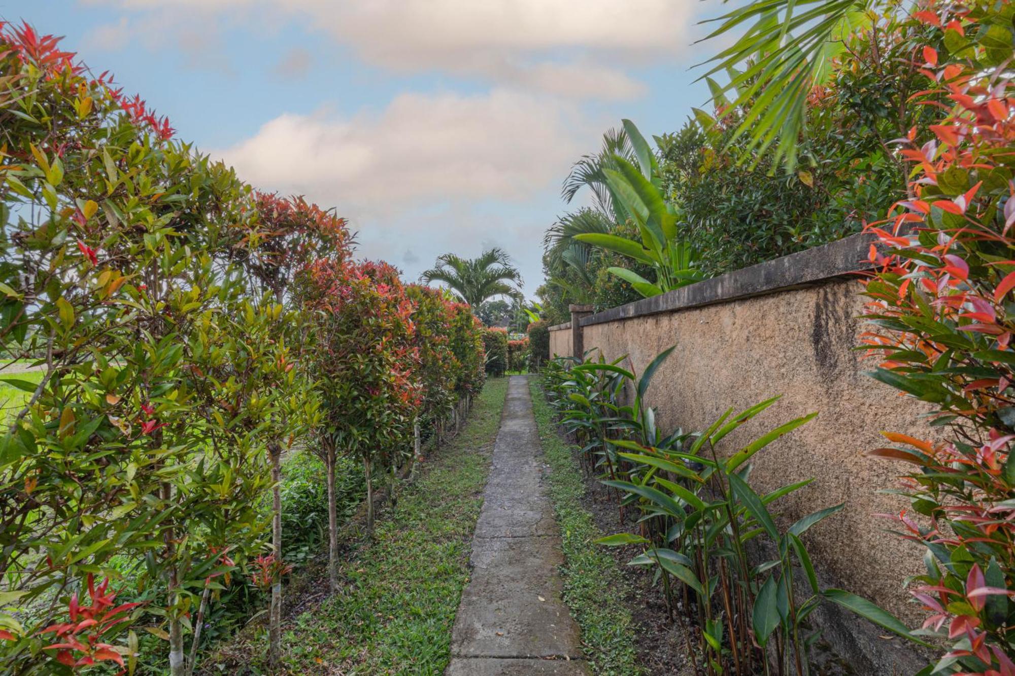 Niluh Private Villas Ubud Exterior foto